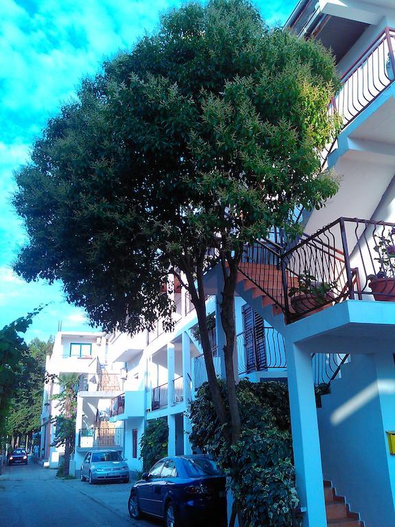 Apartmani Dado อุลซิน ภายนอก รูปภาพ